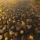 hong-kong-umbrellas